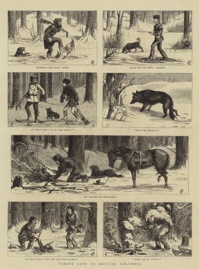 Forest Life in British Columbia by Charles Edwin Fripp